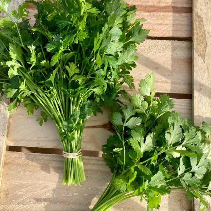 Aromatiques au choix