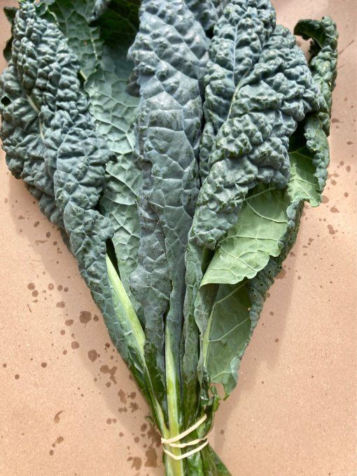 Chou kale / botte