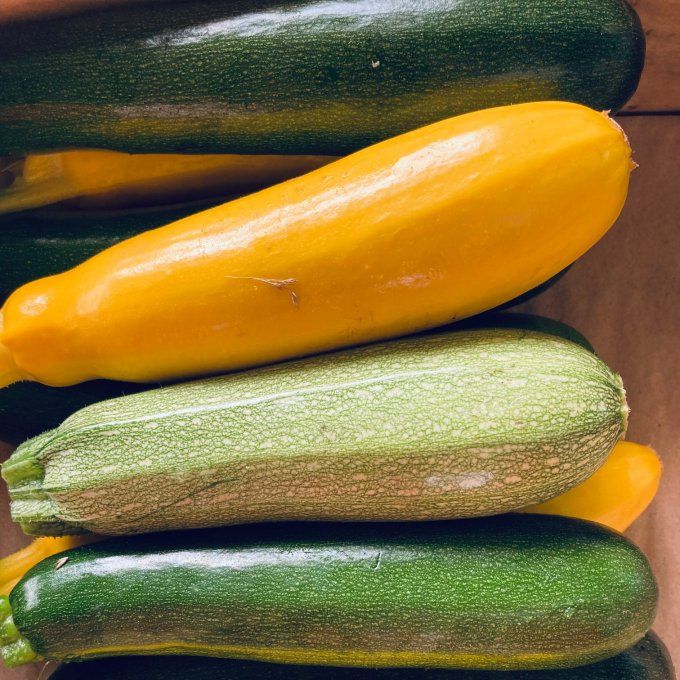 courgettes / 2 pièces