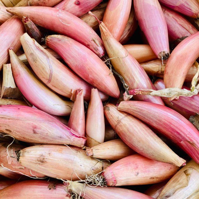 Echalions et oignons jaunes au choix / 250 g