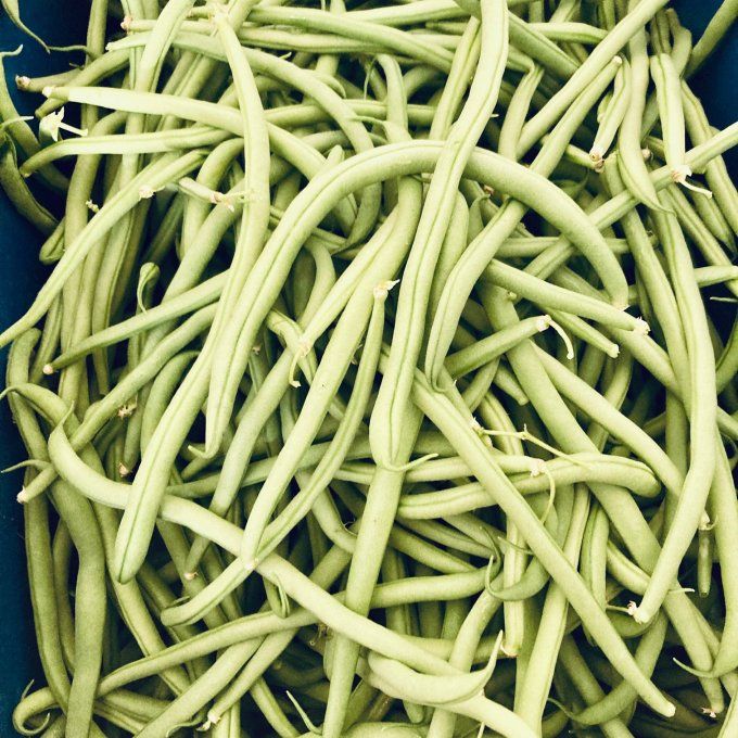 Haricots verts / 500 g