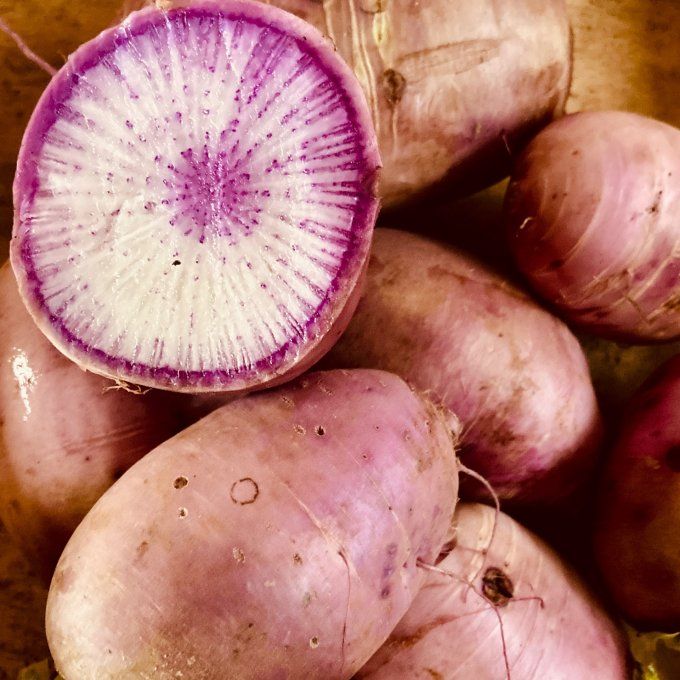 Radis violets / 400 g environ