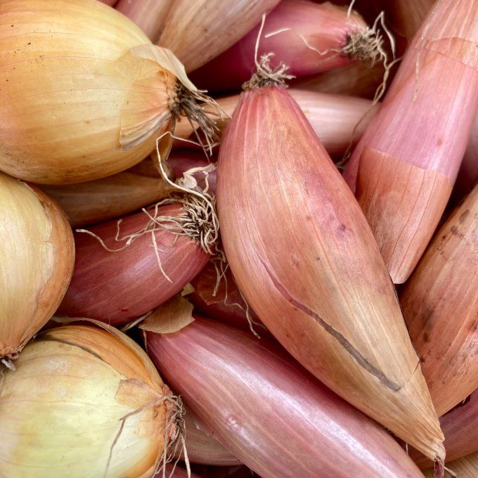 Oignons au choix / 250 g