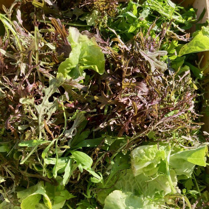 mesclun / 150g