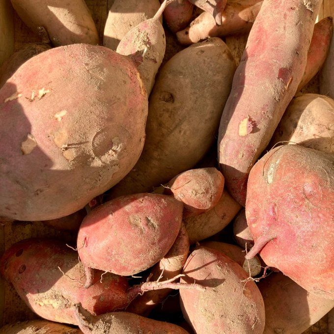 patate douce / 1 kg environ