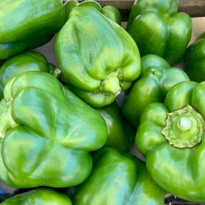 Poivron vert et piment au choix
