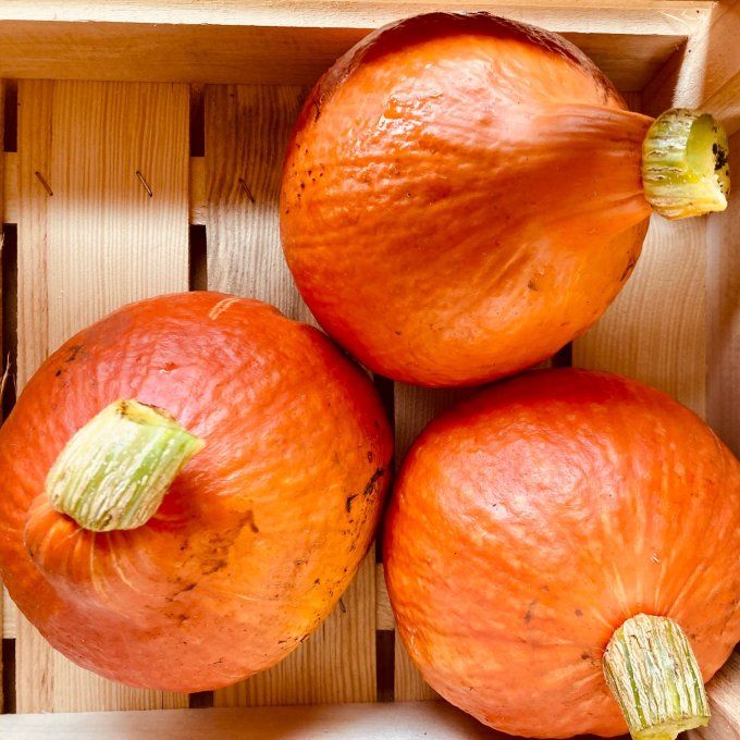 courges grandes au choix