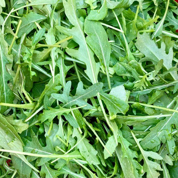 Roquette / 150 g