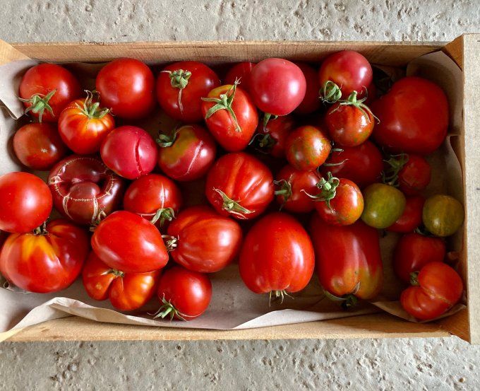 tomates à cuisiner / type au choix
