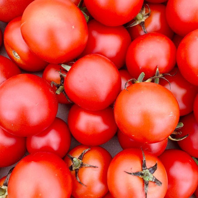tomates rondes / 500 g