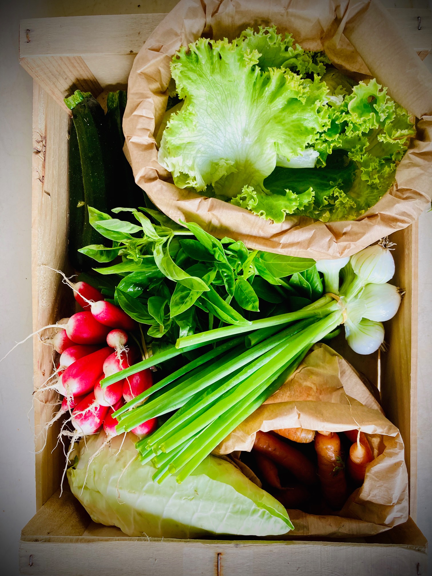 panier_legumes_bio-pont_labbé